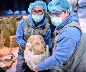 距今百万年的“郧县人”三号头骨化石顺利提取