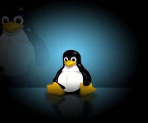 如何快速以管理员权限运行Linux命令？